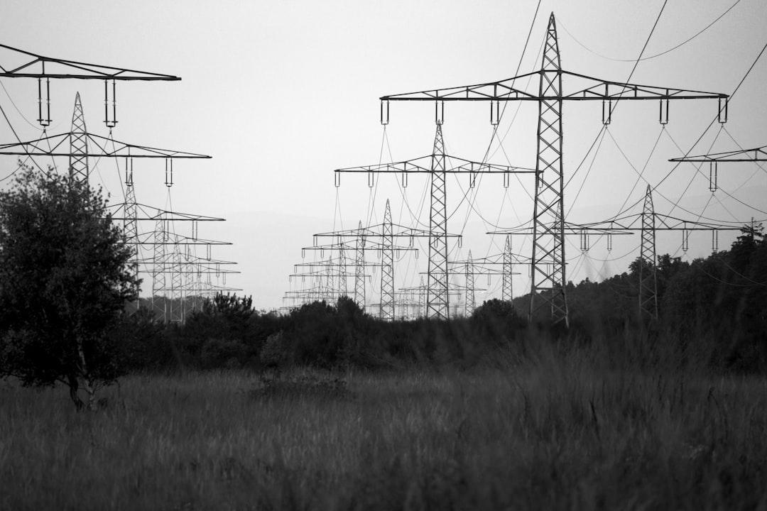 Rows of electrical pylons march across a grassy field.