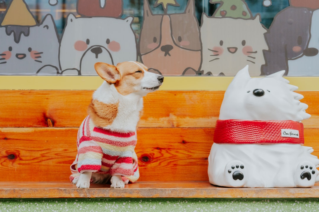 A corgi dog wearing a sweater sits beside a statue.